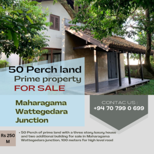 Prime Property for Sale – Land & Luxury House with Additional Buildings