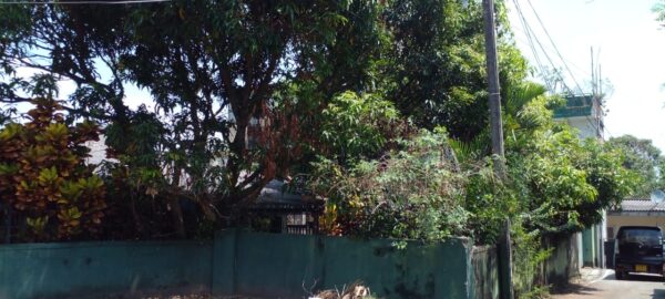 LKR 31 million (1.6 million Per Perch) | 19 Perch Land for SALE with an Old House - Image 2