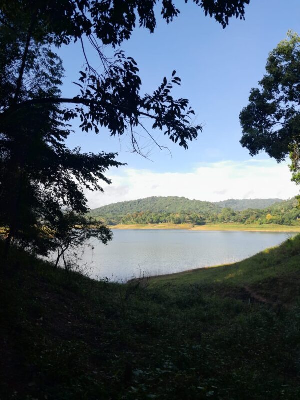 40 Perch water front Land for sale Kandy - Image 3