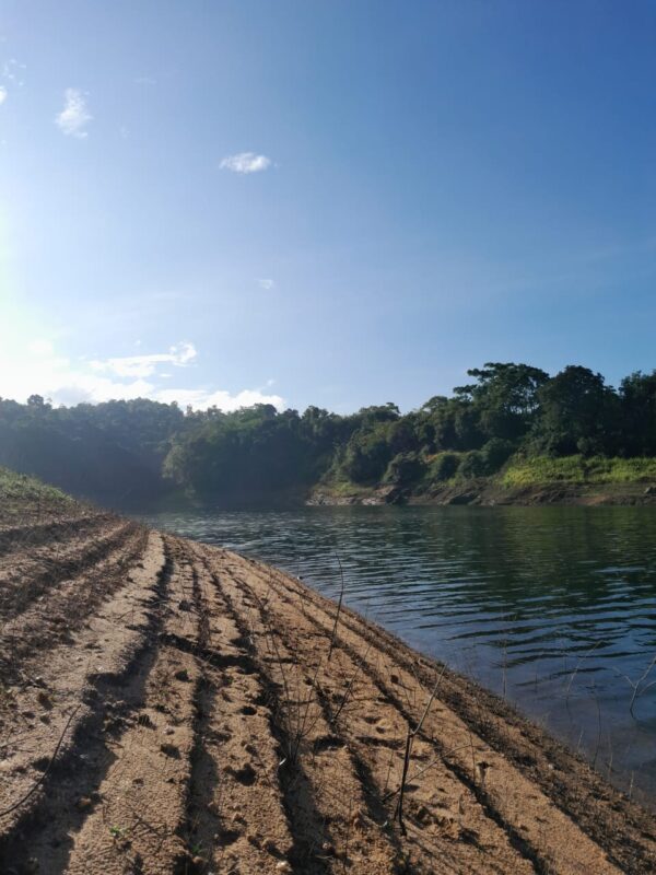 40 Perch water front Land for sale Kandy - Image 2