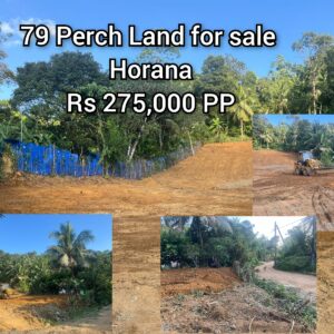 Rs 275,000 Per Perch, 79 Perch Land for sale in Horana