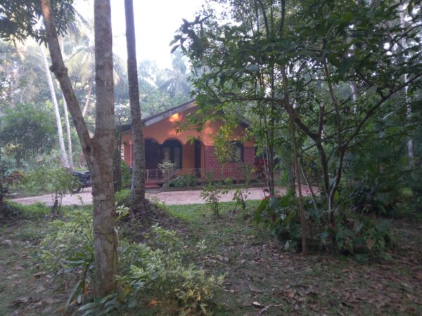 LKR 17.5 M | 80 Perch | House for sale in Udugampola Gampaha - Image 3