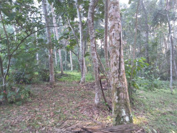 LKR 17.5 M | 80 Perch | House for sale in Udugampola Gampaha - Image 2