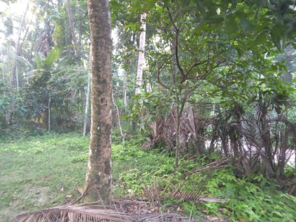 LKR 17.5 M | 80 Perch | House for sale in Udugampola Gampaha - Image 4