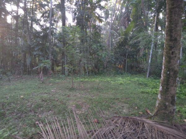 LKR 17.5 M | 80 Perch | House for sale in Udugampola Gampaha - Image 6