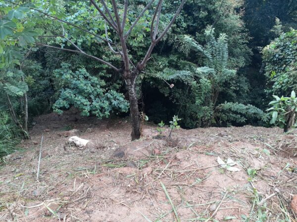 34 Perch Bare Land for sale in Kandy - Image 2