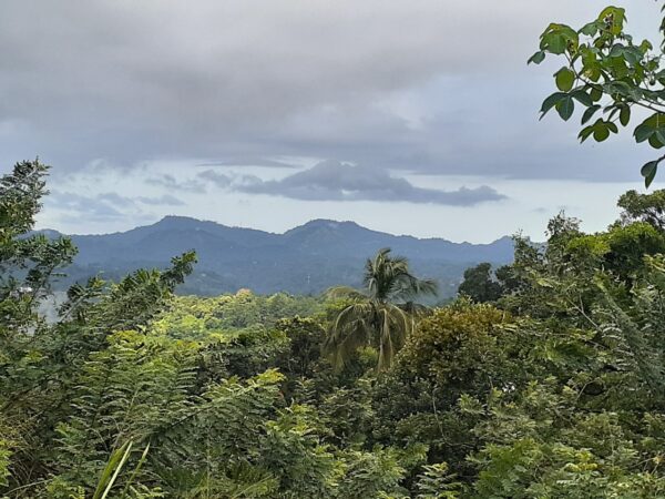 34 Perch Bare Land for sale in Kandy - Image 6