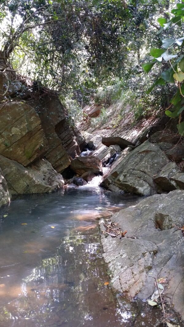 34 Perch Bare Land for sale in Kandy - Image 3