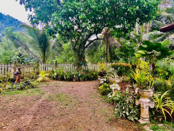 203 Perch Land | House for sale in Galle - Image 5