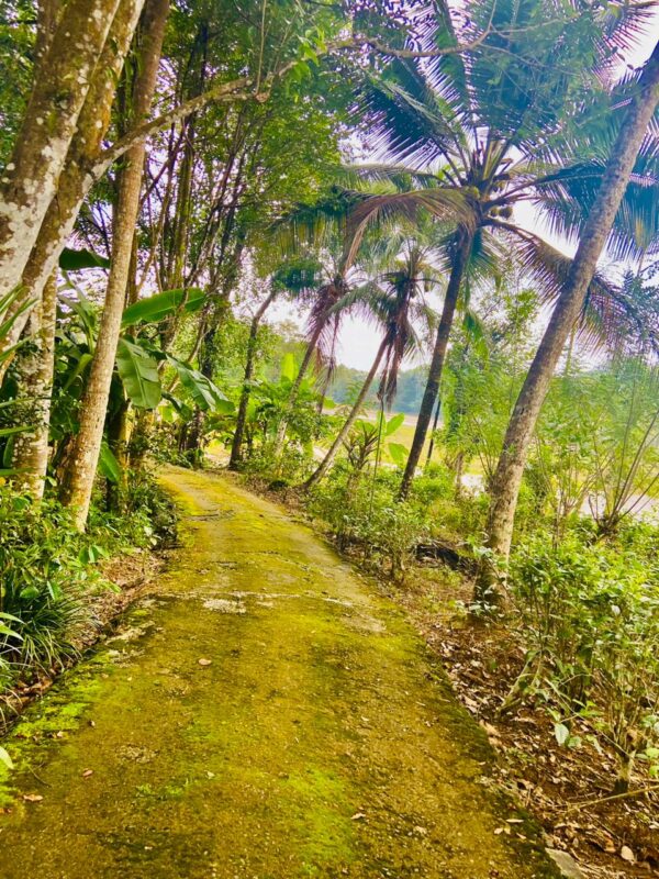 203 Perch Land | House for sale in Galle - Image 3