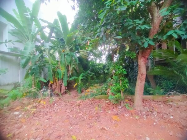 32.5 Perch Land for sale in Nawala - Image 3