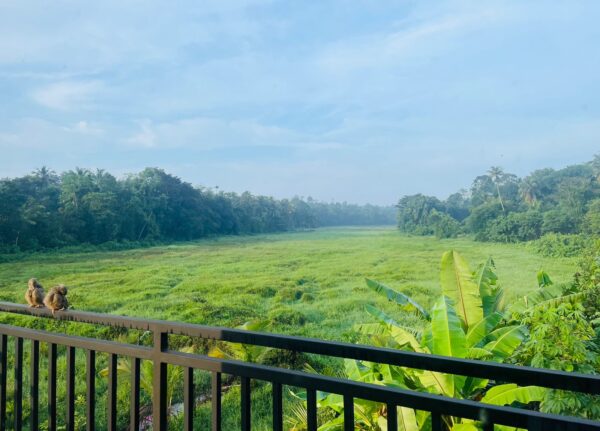 168 Perch Luxury villa for sale in Kirillawala | Kadawatha - Image 4