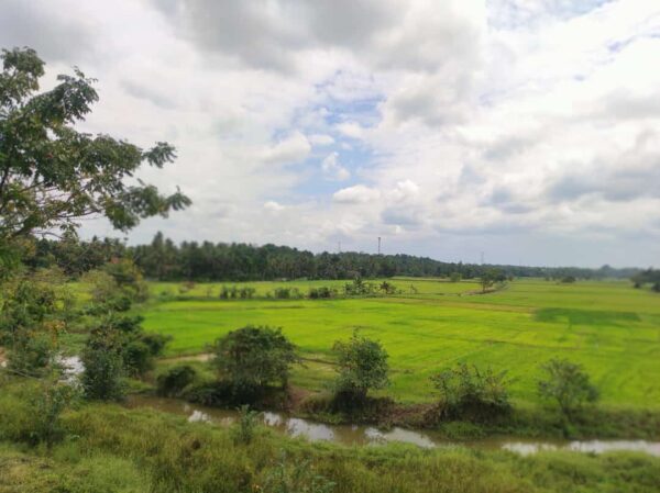 Holidays Home for sale in Ja Ela - Image 6