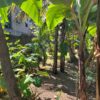 32.3 Land for sale in Maharagama - Image 5