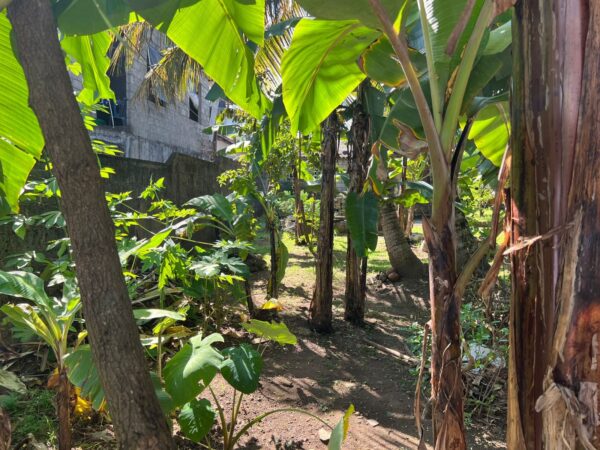 32.3 Land for sale in Maharagama - Image 5