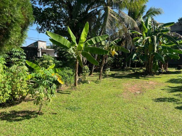 32.3 Land for sale in Maharagama - Image 2