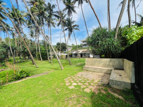 Beach front 55 Perch with Cottage for sale in MATARA - Image 5