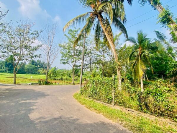 Paddy view 44 perch Land for sale in Malabe - Image 6