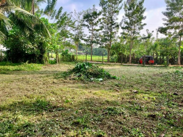 Paddy view 44 perch Land for sale in Malabe - Image 5