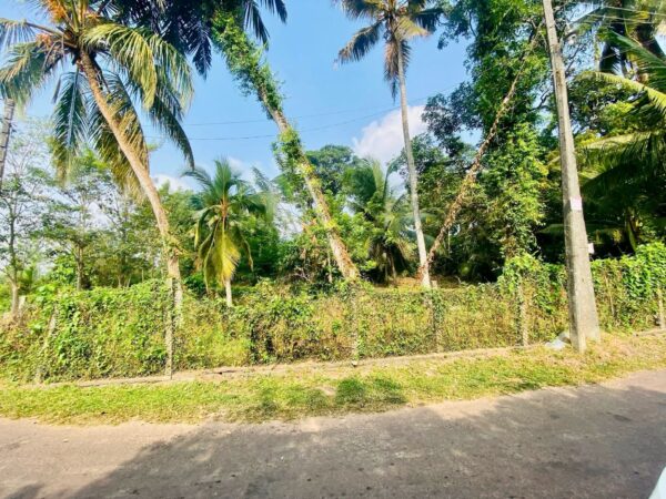 Paddy view 44 perch Land for sale in Malabe - Image 4