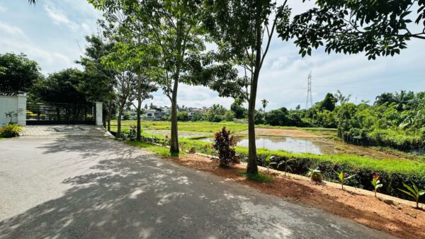 Paddy view 44 perch Land for sale in Malabe - Image 2