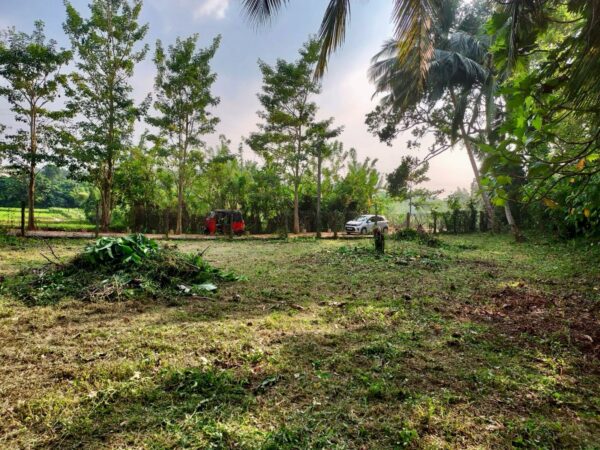 Paddy view 44 perch Land for sale in Malabe - Image 3