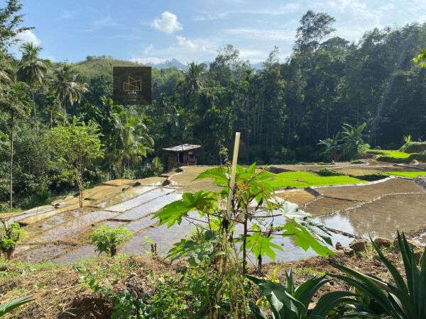 96 Perches Holiday Villa for sale in Badulla - Image 10