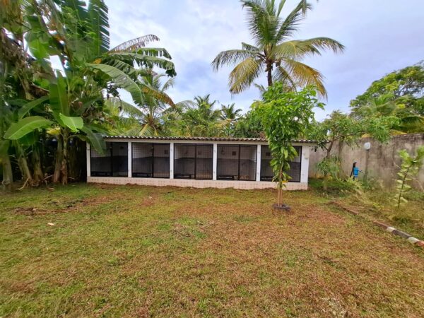 LKR 7.5 M Land for sale in Ja Ela - Image 3