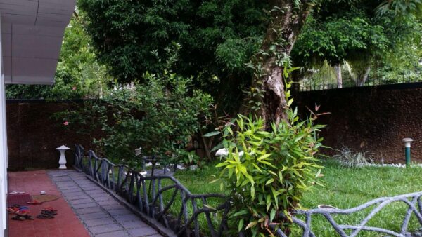 Tourist villa for sale in Weligama - Image 4