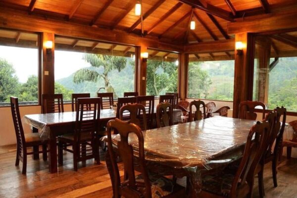 30 Acres Tea Land with Bungalow for sale in Kandy - Image 6