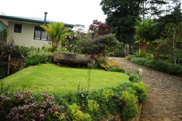 30 Acres Tea Land with Bungalow for sale in Kandy - Image 7