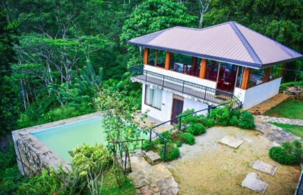30 Acres Tea Land with Bungalow for sale in Kandy - Image 5