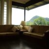 30 Acres Tea Land with Bungalow for sale in Kandy - Image 8