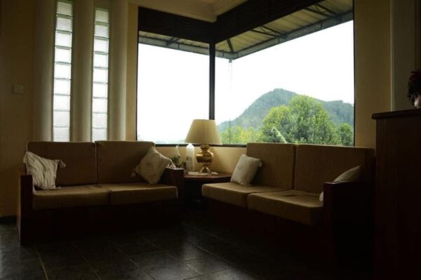 30 Acres Tea Land with Bungalow for sale in Kandy - Image 8