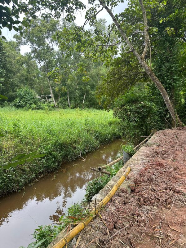 91-Perch Canal-Front Property – Perfect for Hospitality Development - Image 4