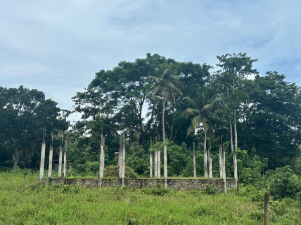 15 Perch Nature-Facing Land for Sale – Raddolugama, Katunayake - Image 3