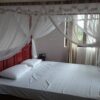 30 Acres Tea Land with Bungalow for sale in Kandy - Image 2