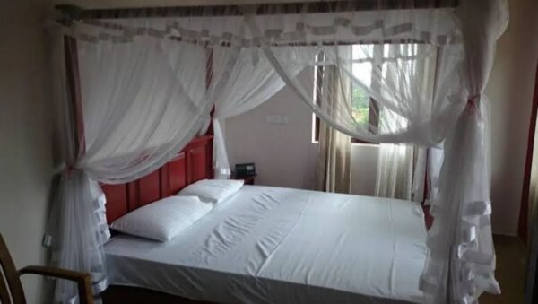 30 Acres Tea Land with Bungalow for sale in Kandy - Image 2