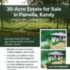 30 Acres Tea Land with Bungalow for sale in Kandy