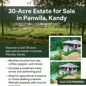 30 Acres Tea Land with Bungalow for sale in Kandy
