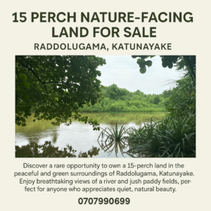 15 Perch Nature-Facing Land for Sale – Raddolugama, Katunayake