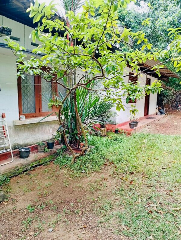 10.4 Perch Land for sale in Thalawathugoda - Image 7