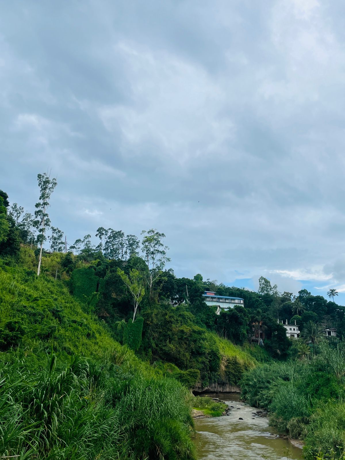 Land for sale in Welimada - Image 4