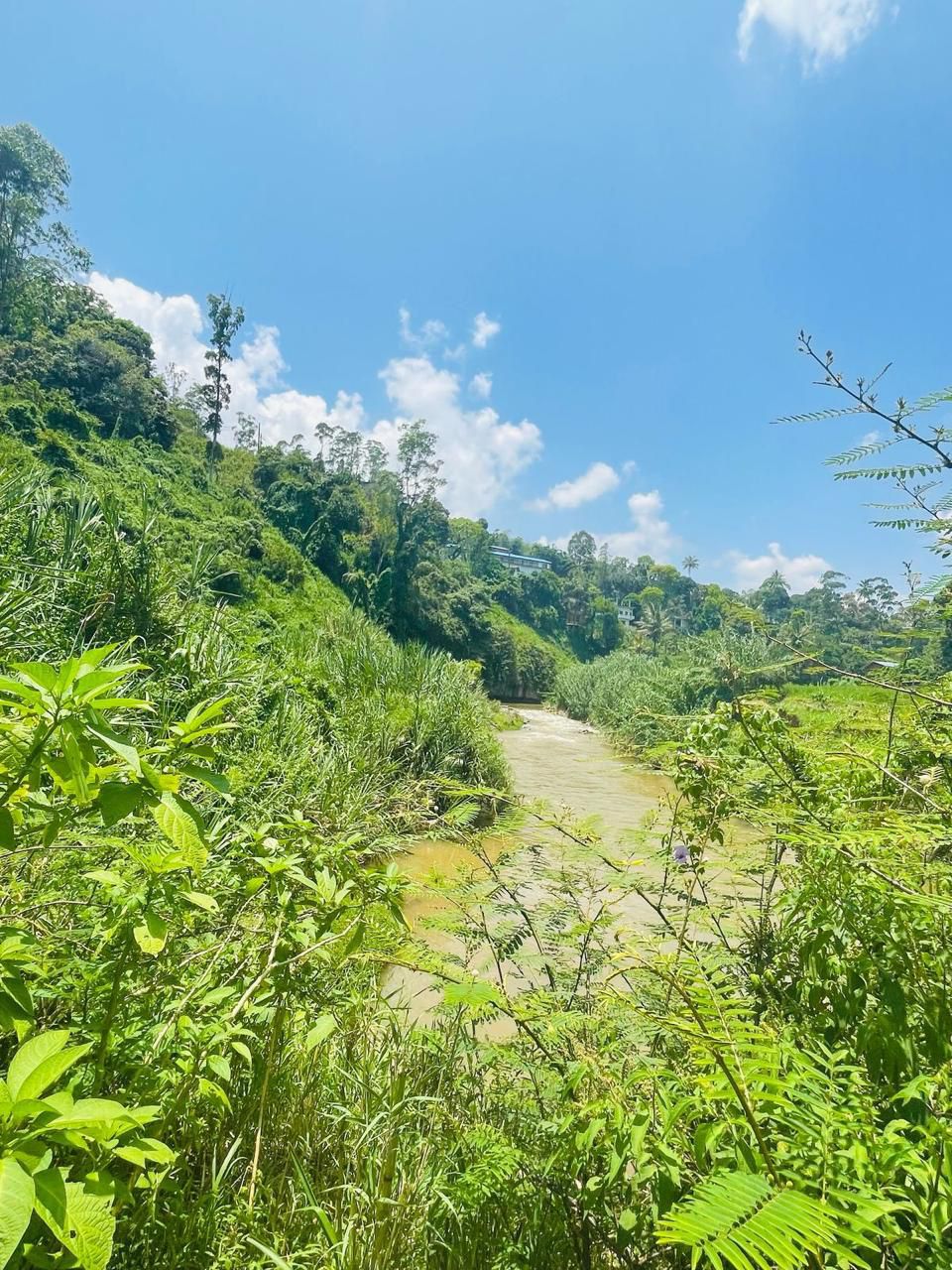 Land for sale in Welimada - Image 6