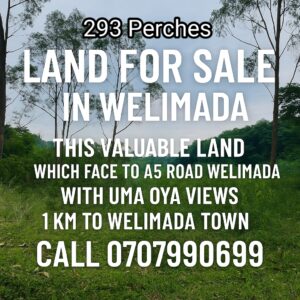 Land for sale in Welimada