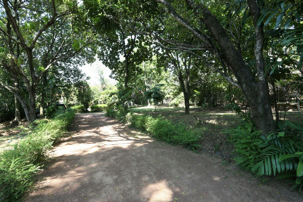 57 Perch land for sale in Nugegoda - Image 4