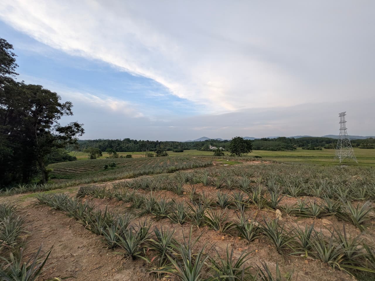 553 Perches Agricultural Land for Sale – Ideal for Eco-Tourism Development - Image 3