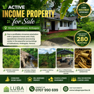 280 Perches Cinnamon Land for sale in HORANA