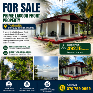 Coconut Land for sale in Talavila, Puttalama