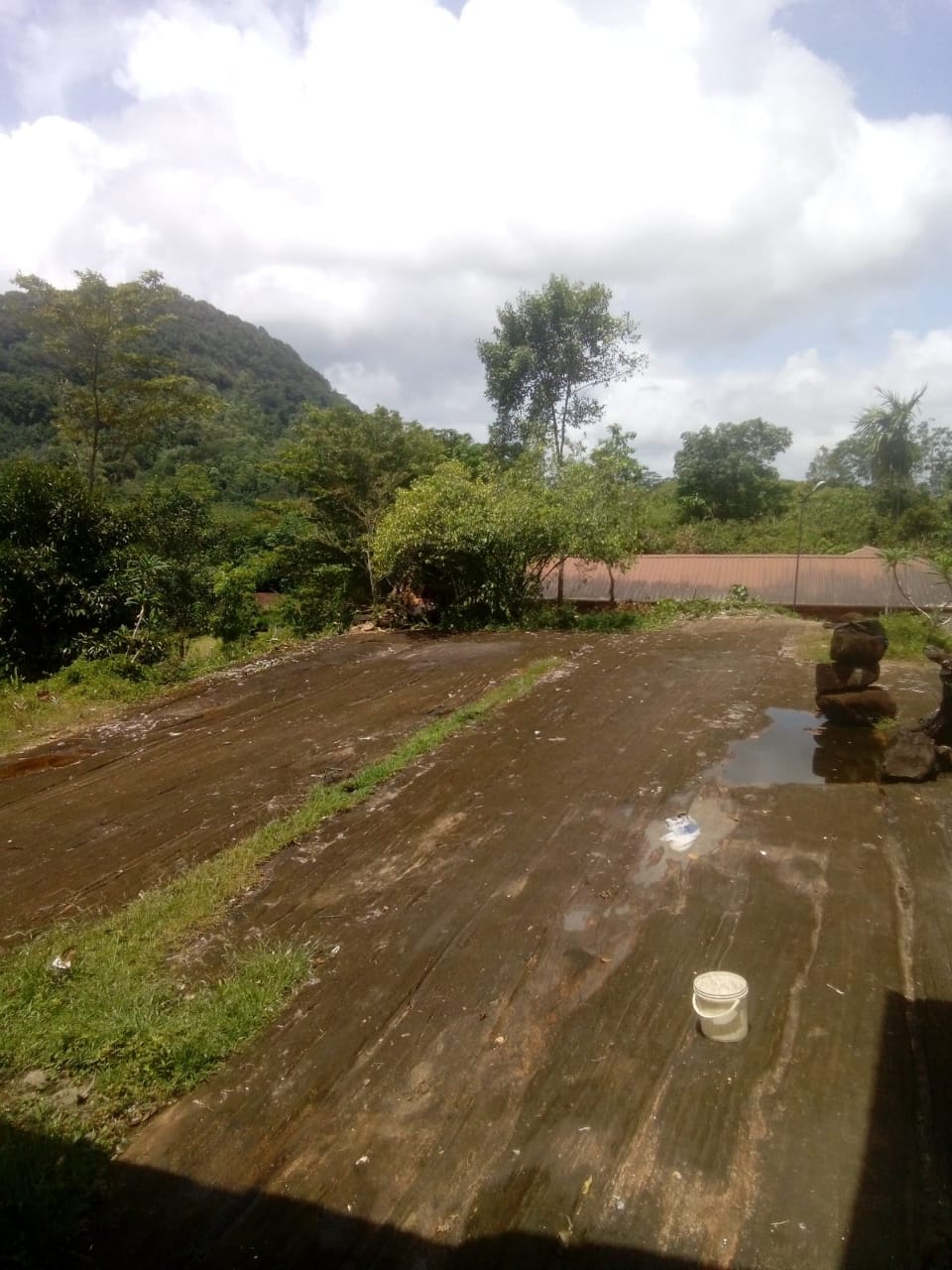 ECO-TOURISM PROPERTY FOR SALE – HORANA, SRI LANKA - Image 6